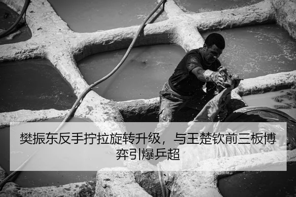 fan-zhen-dong-fan-shou-ning-la-xuan-zhuan-sheng-ji-yu-wang-chu-qin-qian-san-ban-bo-yi-yin-bao-ping-chao-3-331.jpg